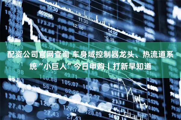 配资公司官网查询 车身域控制器龙头、热流道系统“小巨人”今日申购丨打新早知道