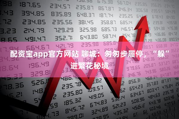 配资宝app官方网站 聊城：匆匆步履停，“躲”进繁花秘境